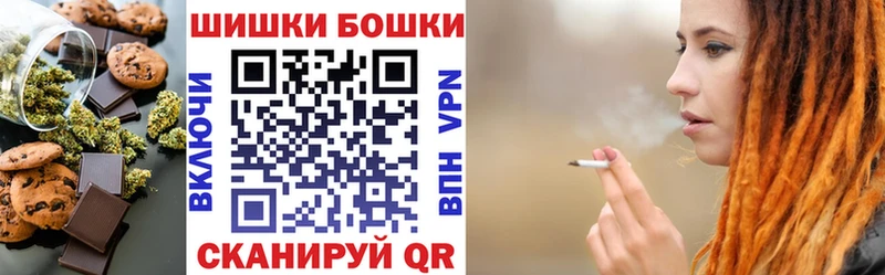 Купить закладки  Алейск  Canna-Cookies конопля 