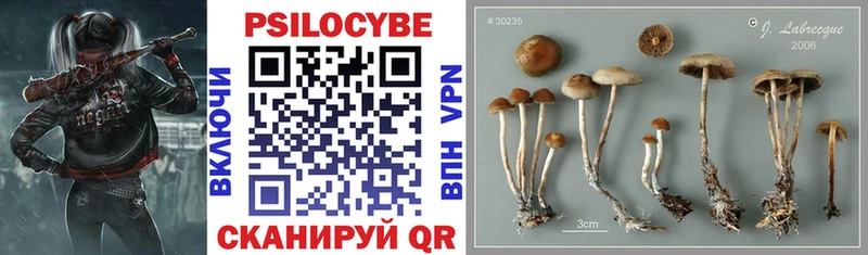 Галлюциногенные грибы ЛСД Алейск