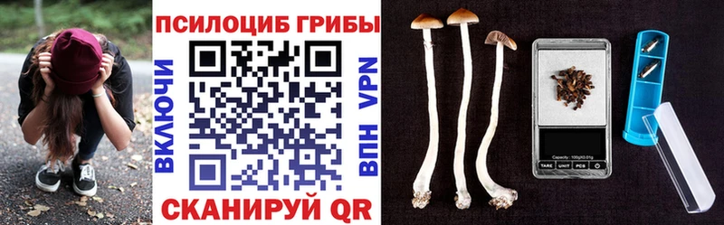 Купить где  Алейск  Псилоцибиновые грибы MAGIC MUSHROOMS 